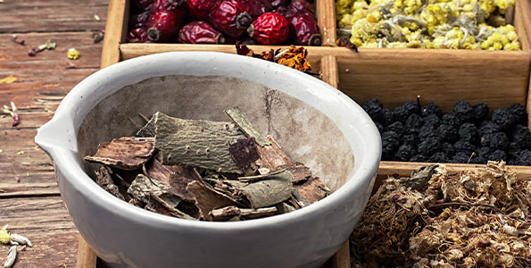 천연의약연구소 관련 사진