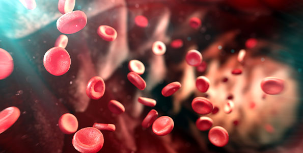 세포분화및노화연구소 관련 사진