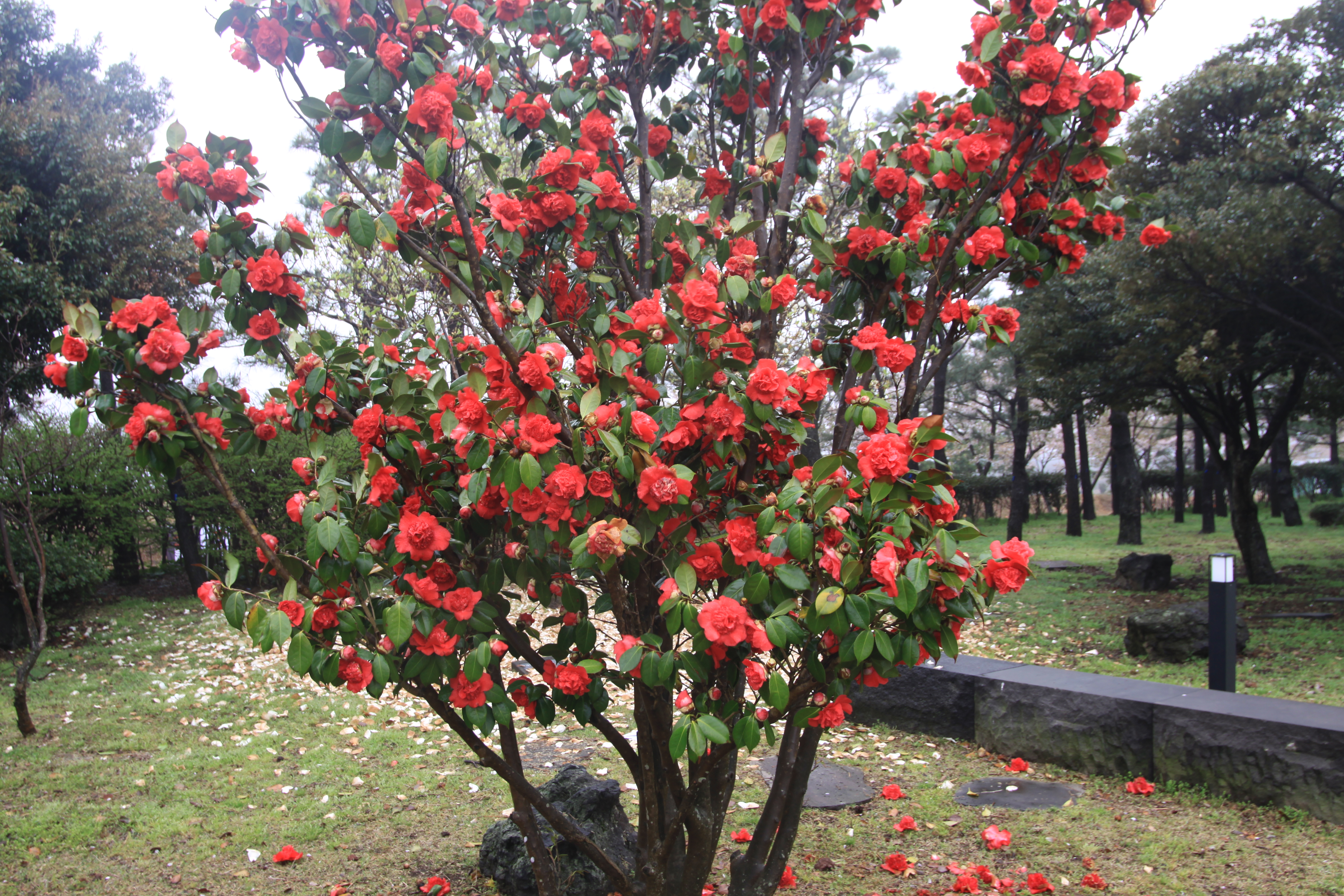 18-38..jpg 이미지